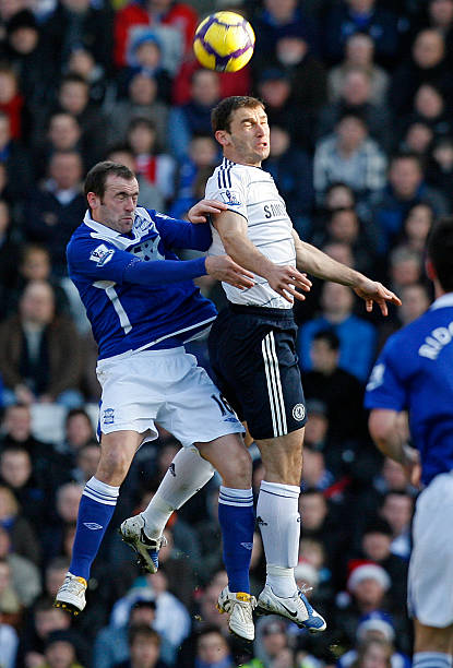 的才华横溢 的才华横溢